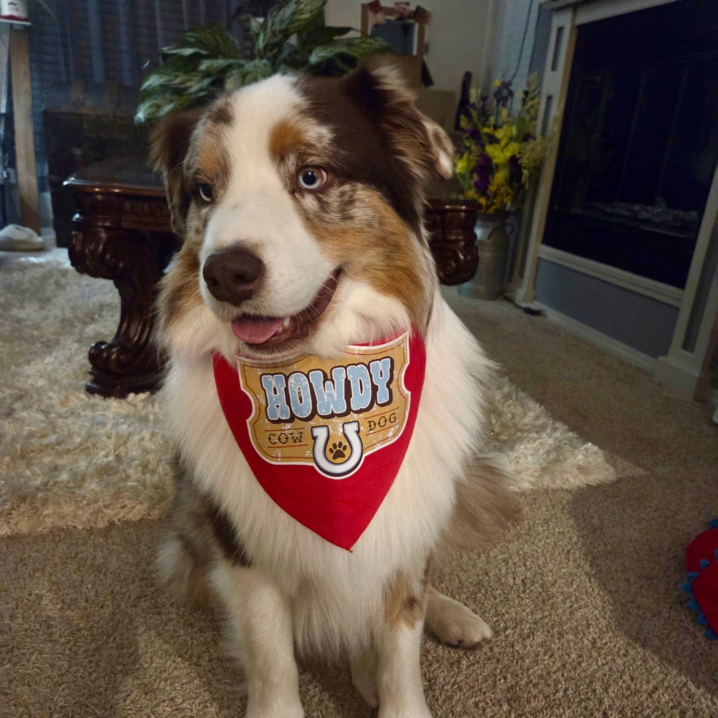 Howdy Cowdog