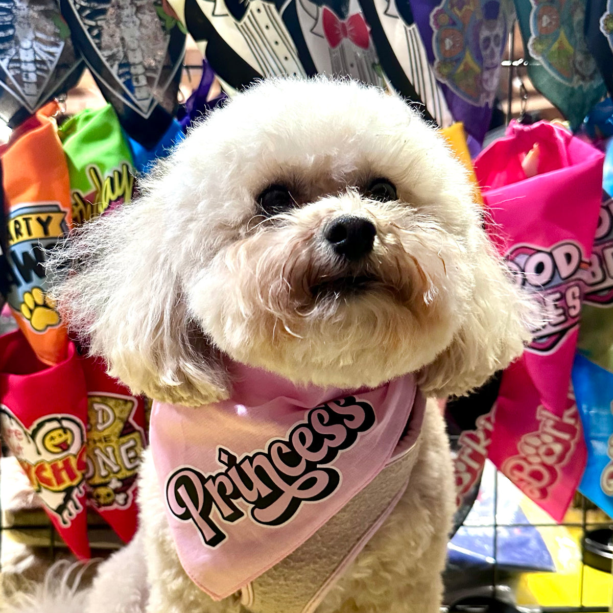 Princess Bandana