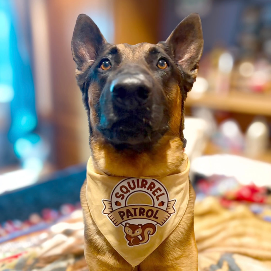 Squirrel Patrol Bandana