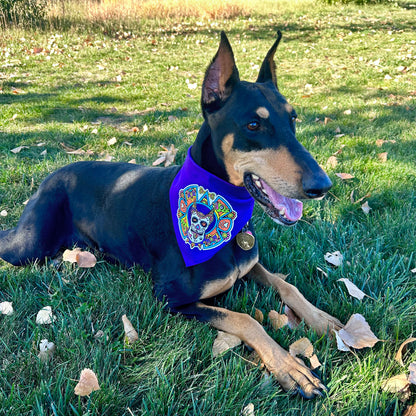 Aztec Dawg Bandana
