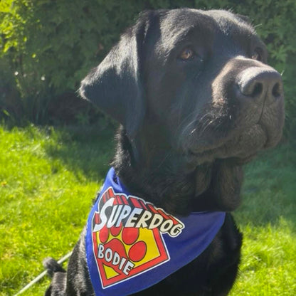 Superdog Bandana