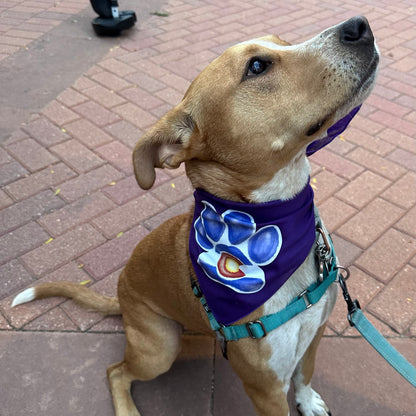 Colorado Paw Bandana