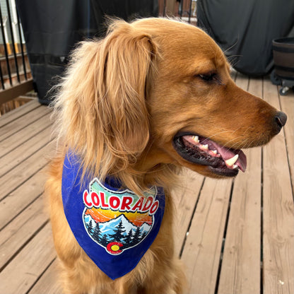 Colorado Badge