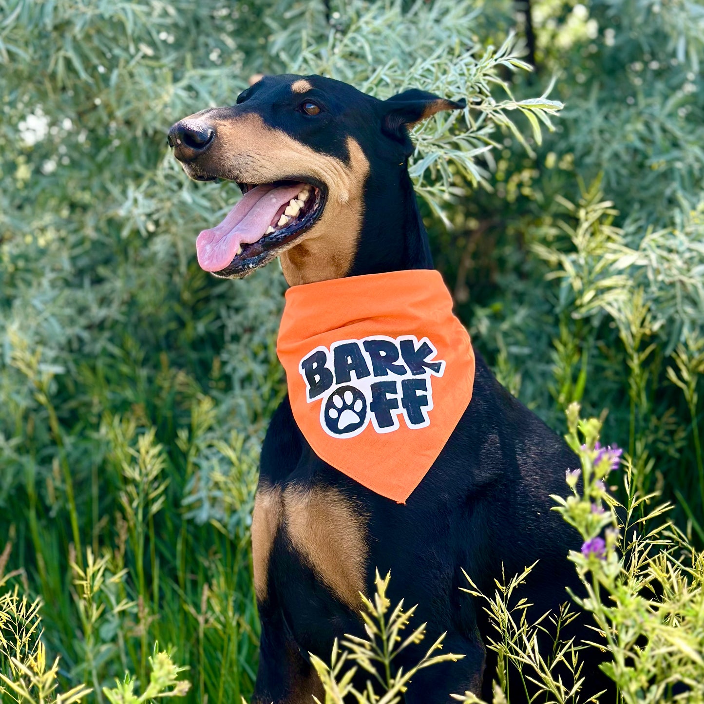 Bark Off