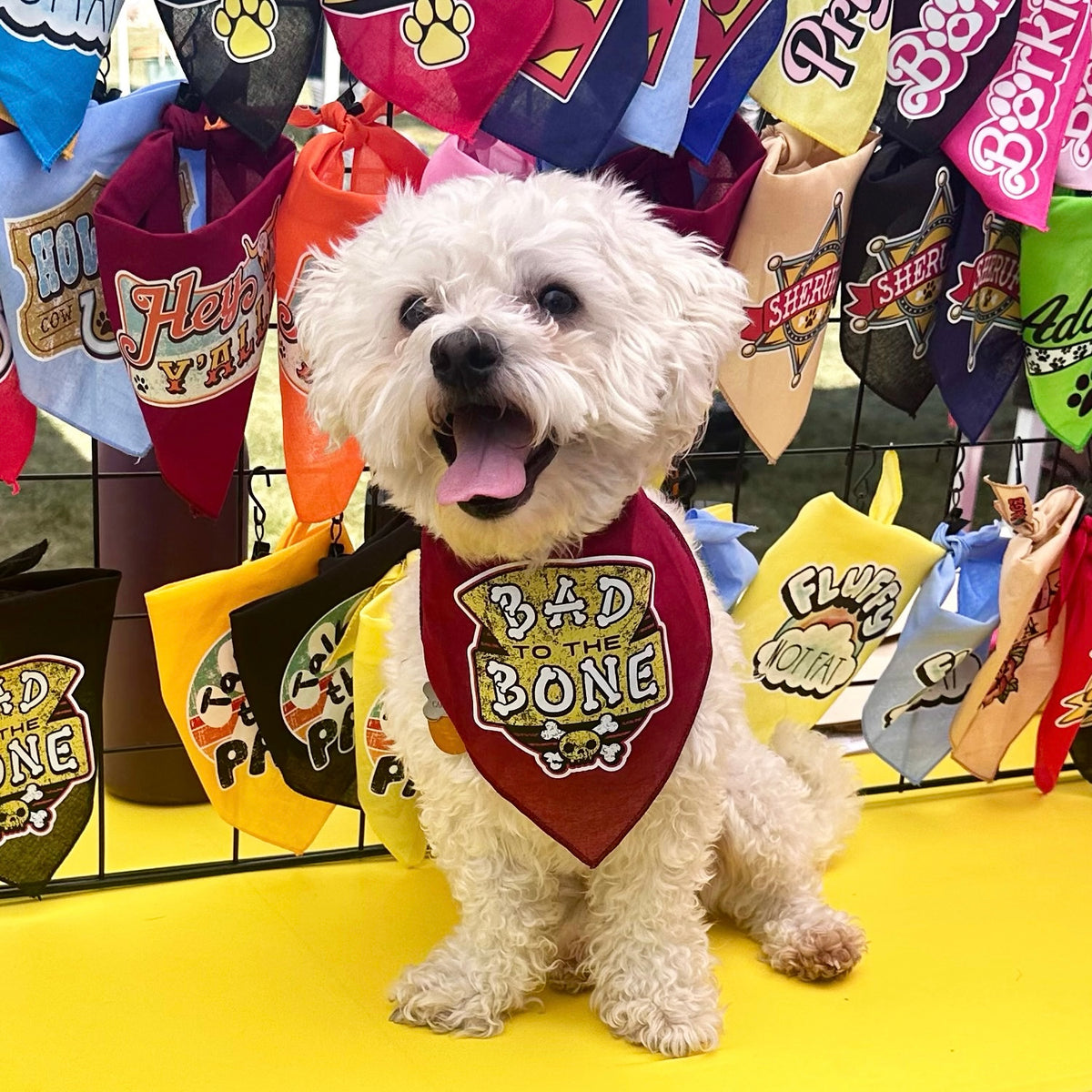 Bad to the Bone Bandana
