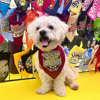 Bad to the Bone Bandana