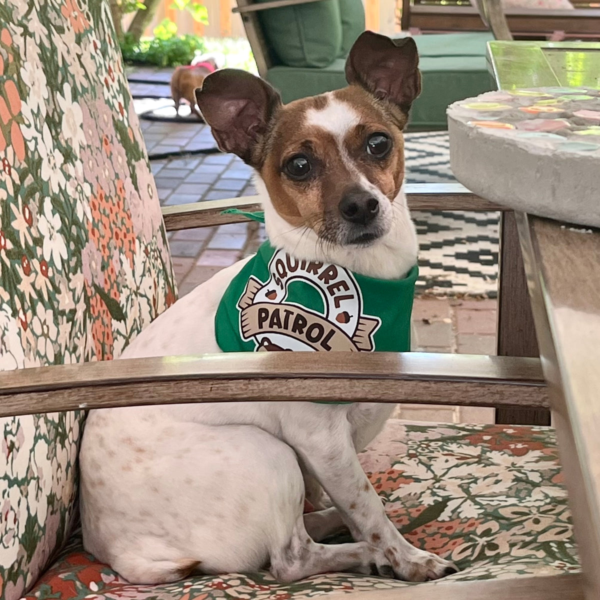 Squirrel Patrol Bandana