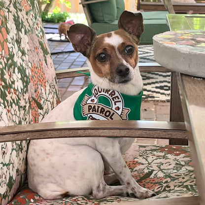 Squirrel Patrol Bandana