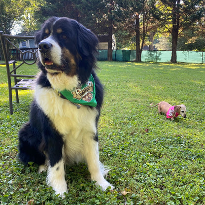 Squirrel Patrol Bandana