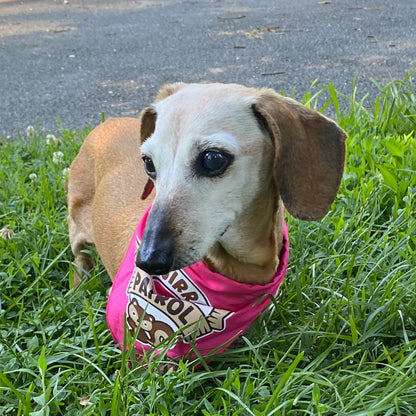 Squirrel Patrol Bandana