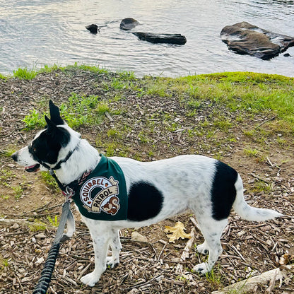 Squirrel Patrol