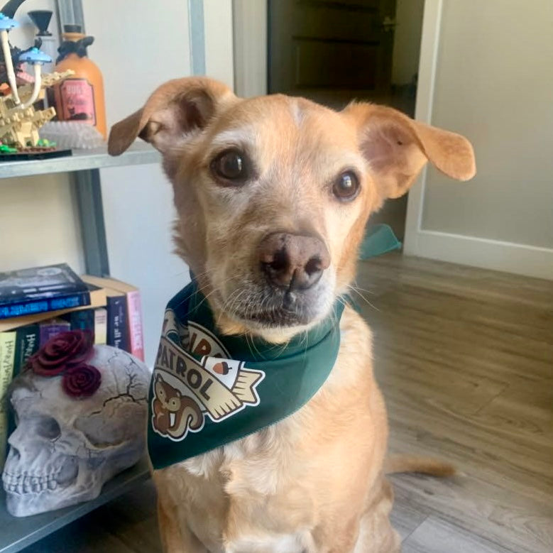 Squirrel Patrol Bandana