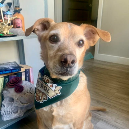 Squirrel Patrol Bandana