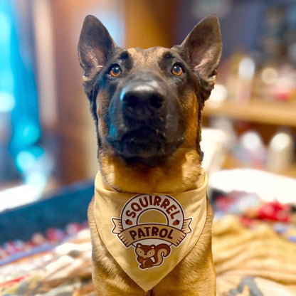 Squirrel Patrol Bandana