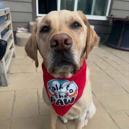 Talk to the Paw Bandana