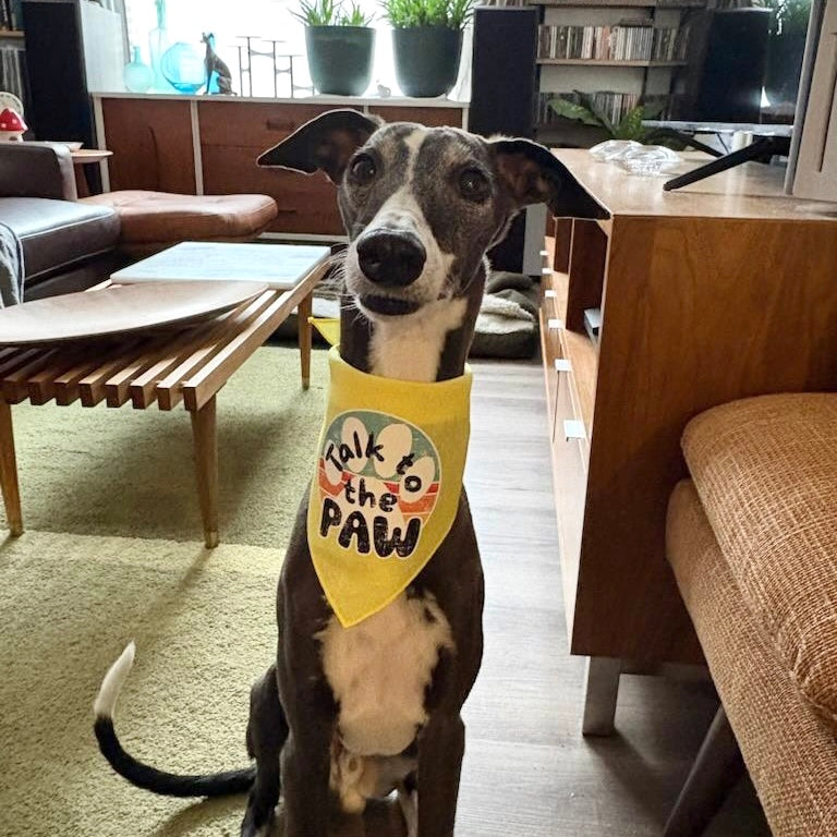 Talk to the Paw