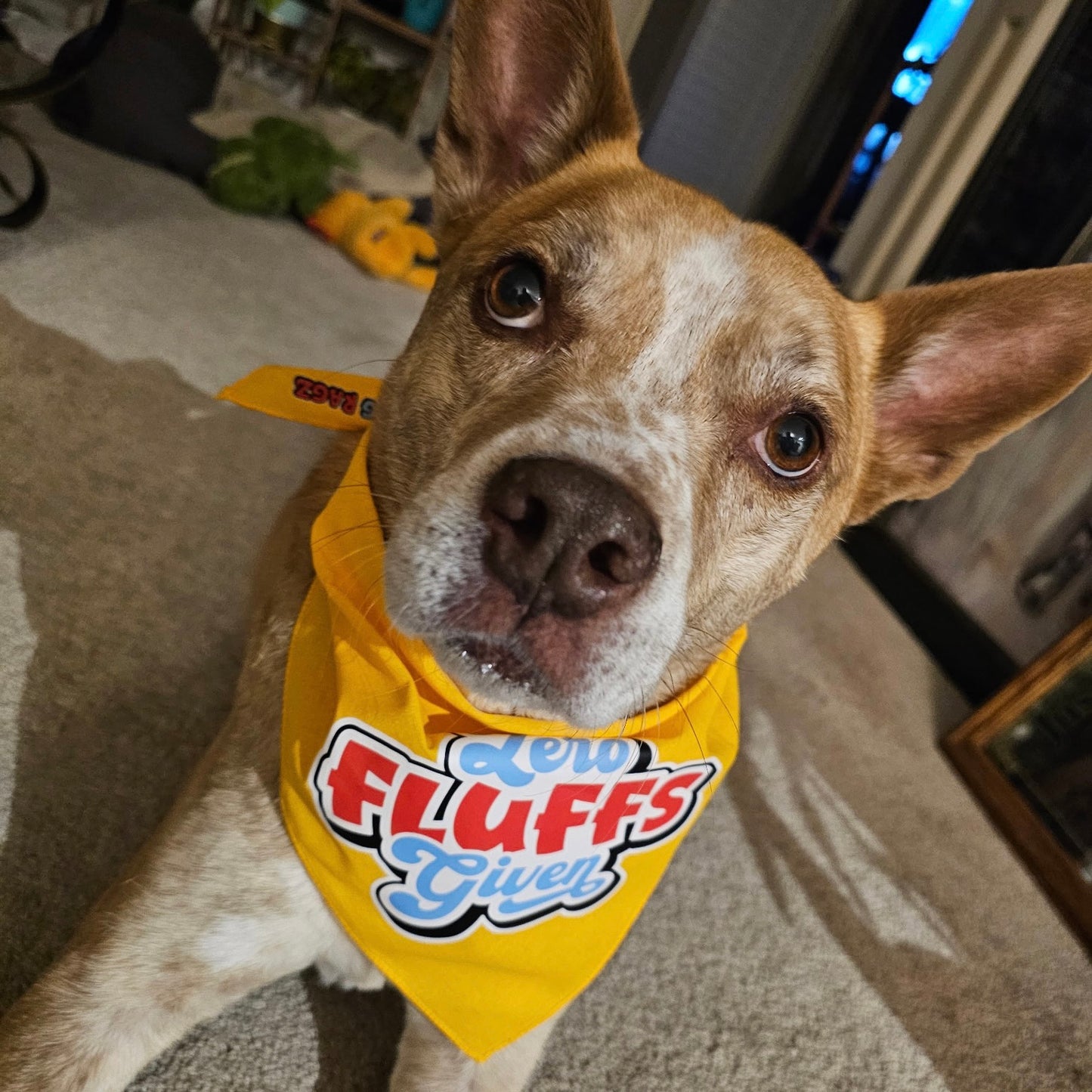 Zero Fluffs Given